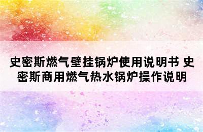 史密斯燃气壁挂锅炉使用说明书 史密斯商用燃气热水锅炉操作说明